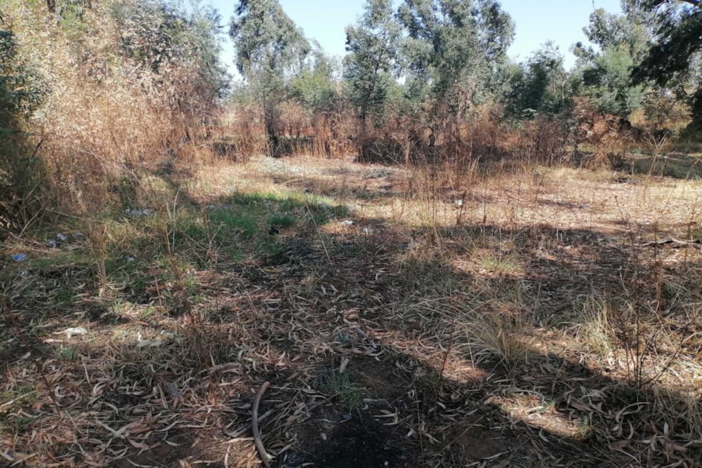 Vacant land for sale in Hendrina - 1MD1715422 Vacant land for sale in Hendrina - 1MD1715422
