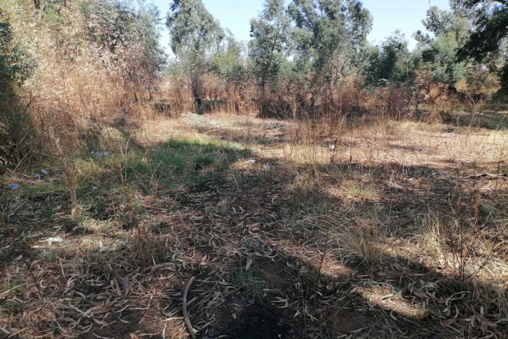 Vacant land sold in Hendrina - 1MD1715422 Vacant land sold in Hendrina - 1MD1715422
