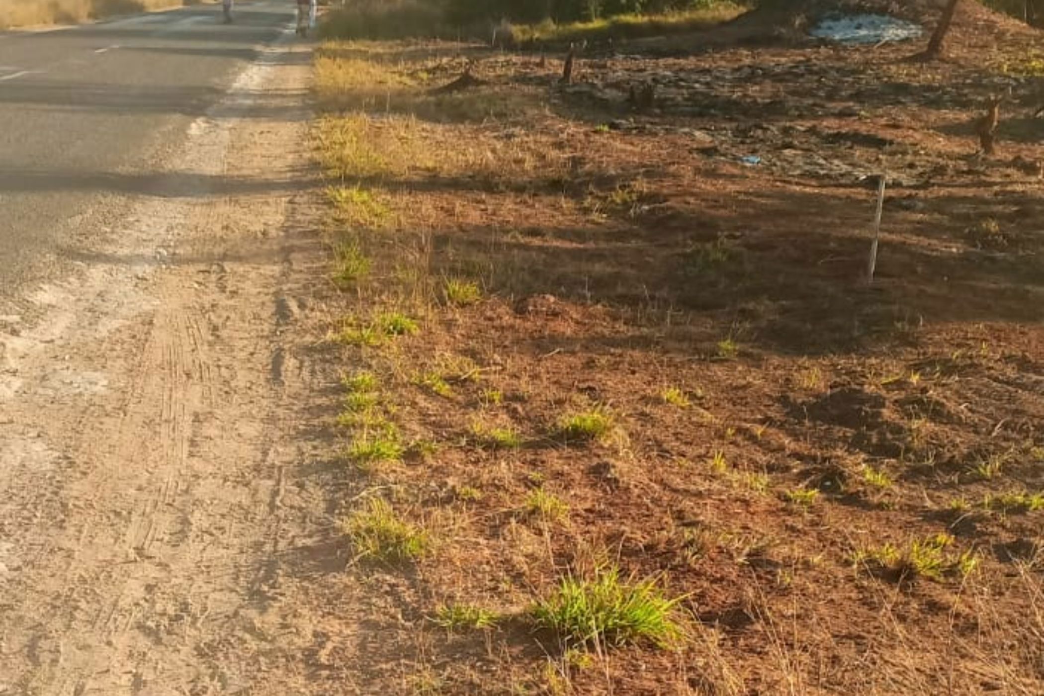 Commercial vacant land to rent in Inhassoro, Mozambique - 3MQ1715586