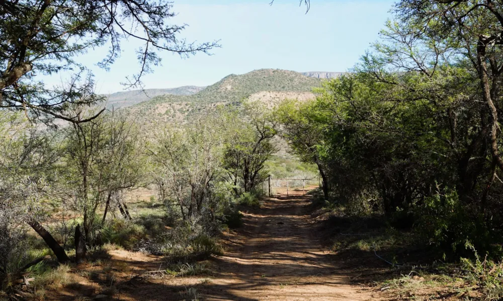 Livestock farm sold in Graaff-Reinet Rural - 1KK1716685 Livestock farm sold in Graaff-Reinet Rural - 1KK1716685