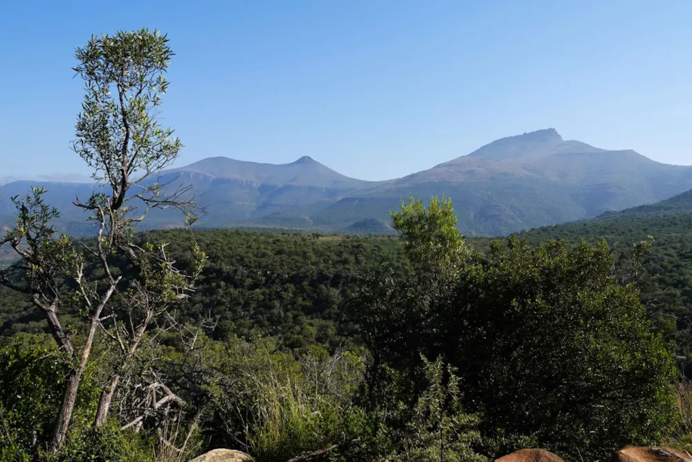 Livestock farm sold in Graaff-Reinet Rural - 1KK1716685 Livestock farm sold in Graaff-Reinet Rural - 1KK1716685