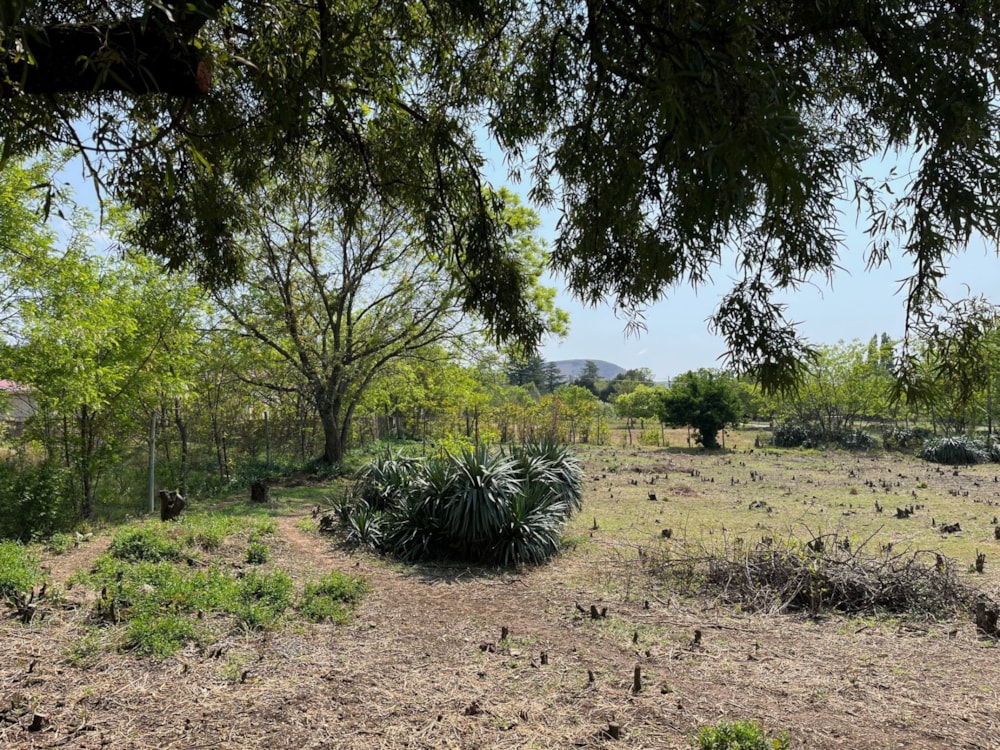 Vacant land for sale in Fouriesburg - 1CS1715617 Vacant land for sale in Fouriesburg - 1CS1715617