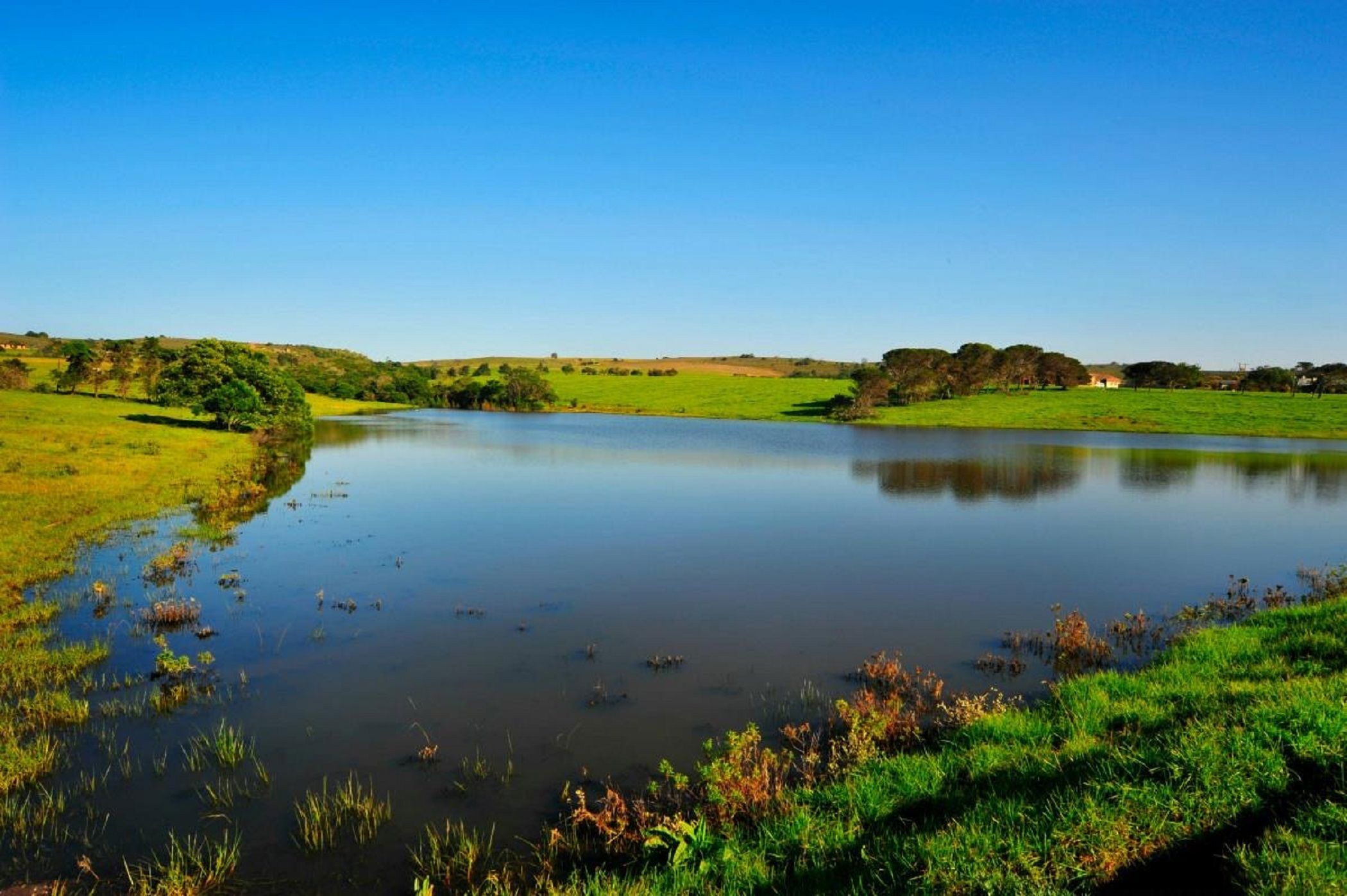 Vacant land for sale in Kabeljauws - 1JF1715735