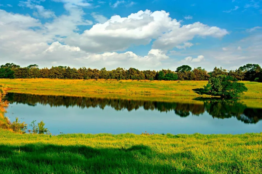 Vacant land for sale in Kabeljauws - 1JF1715735