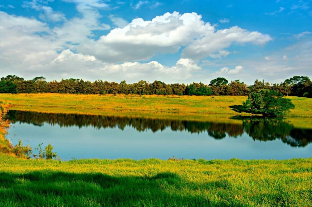 Vacant land for sale in Kabeljauws - 1JF1715735