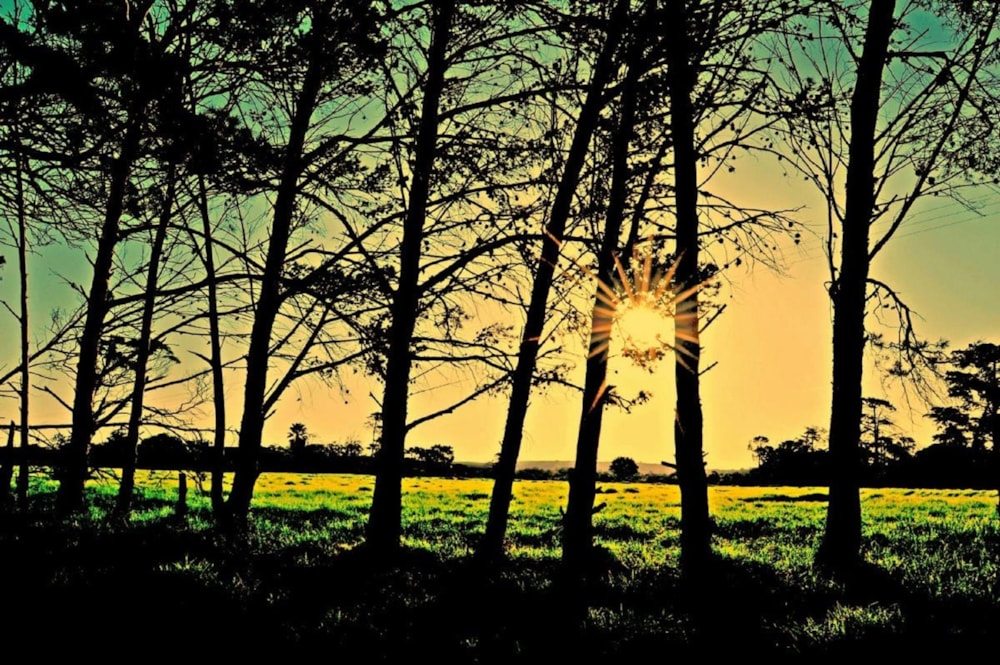 Vacant land for sale in Kabeljauws - 1JF1715735