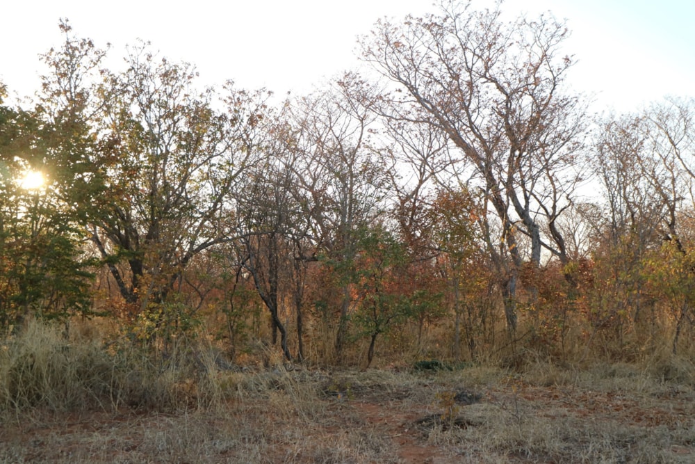 Vacant land for sale in Victoria Falls, Zimbabwe - 3ZB1715927