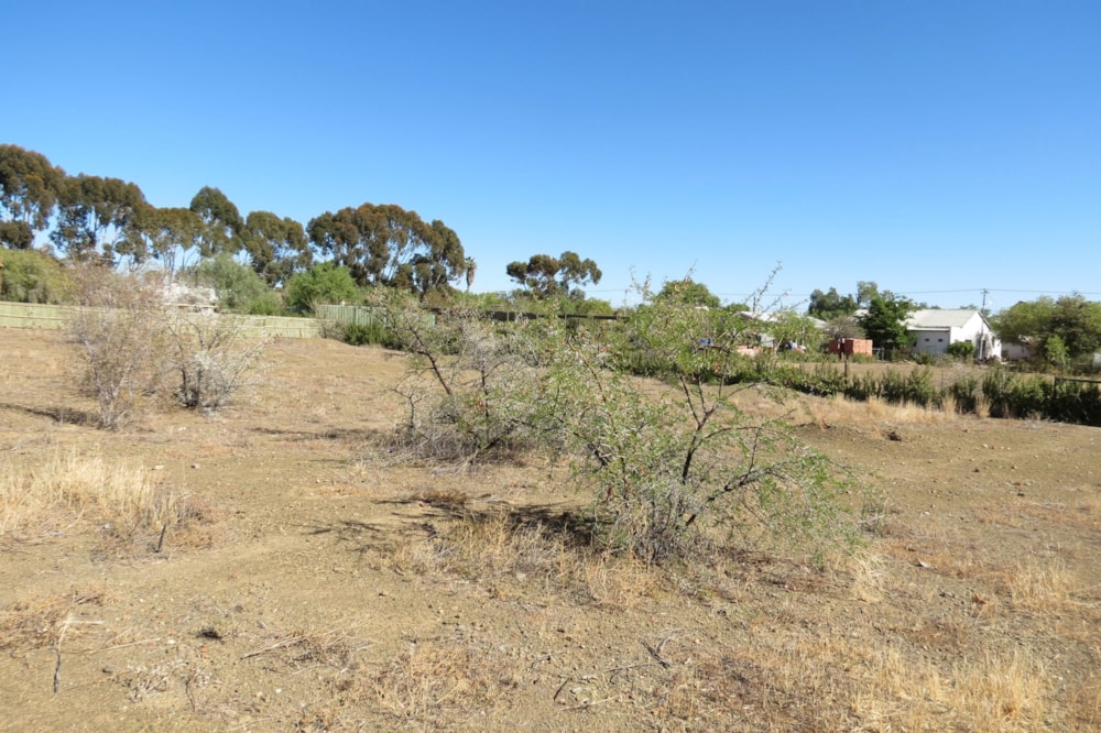 Vacant land for sale in Prince Albert - 1KK1716096