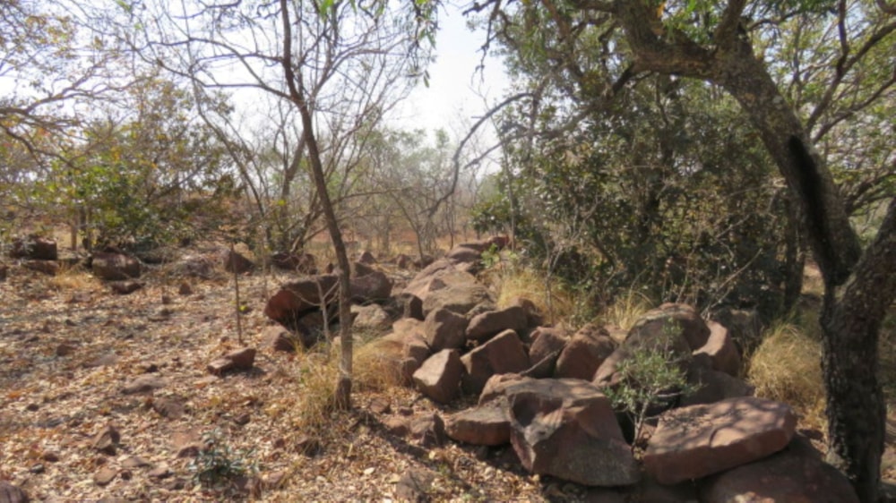 Residential vacant land for sale in Modimolle (Nylstroom) - 1MDM1716150