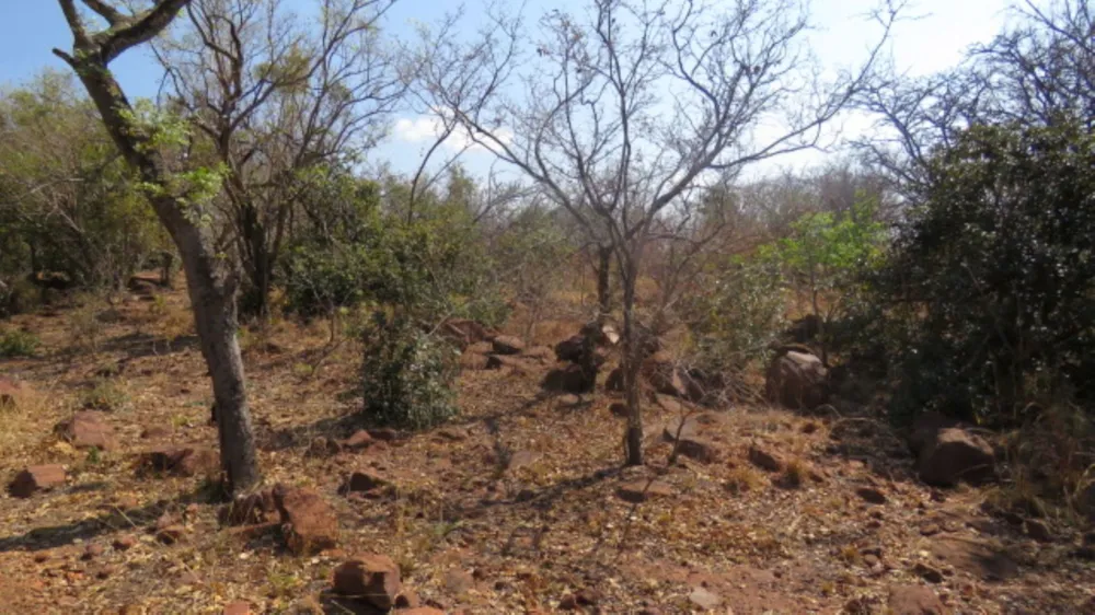 Residential vacant land for sale in Modimolle (Nylstroom) - 1MDM1716150