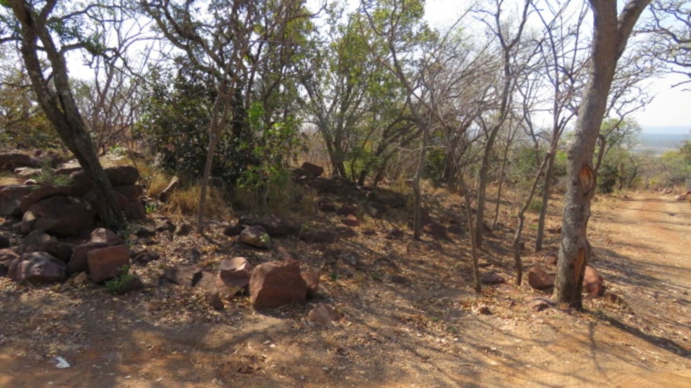 Residential vacant land for sale in Modimolle (Nylstroom) - 1MDM1716150
