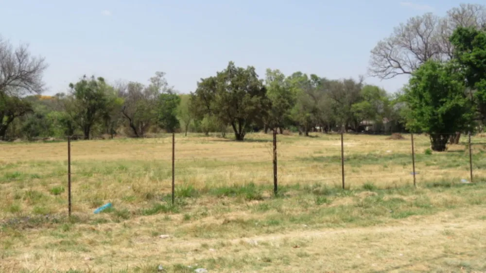 Vacant land for sale in Modimolle (Nylstroom) - 1MDM1716189