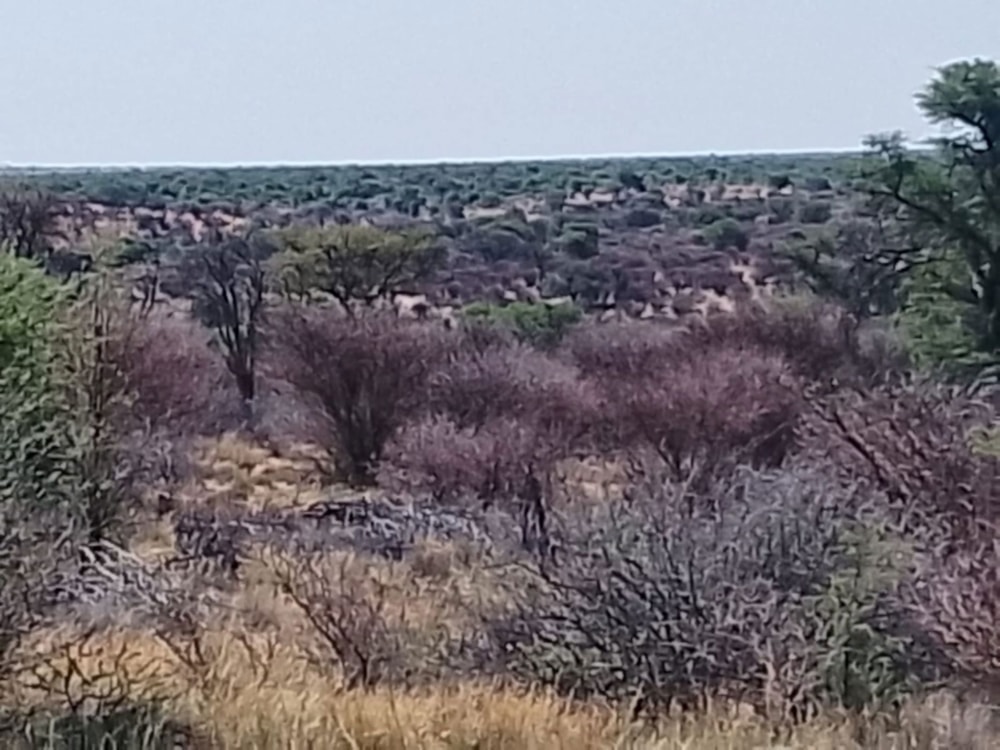 Livestock farm for sale in Van Zylsrus Farms - 1RN1716232 Livestock farm for sale in Van Zylsrus Farms - 1RN1716232