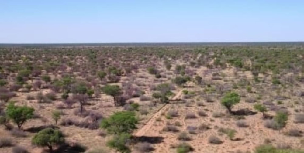 Livestock farm for sale in Van Zylsrus Farms - 1RN1716232 Livestock farm for sale in Van Zylsrus Farms - 1RN1716232