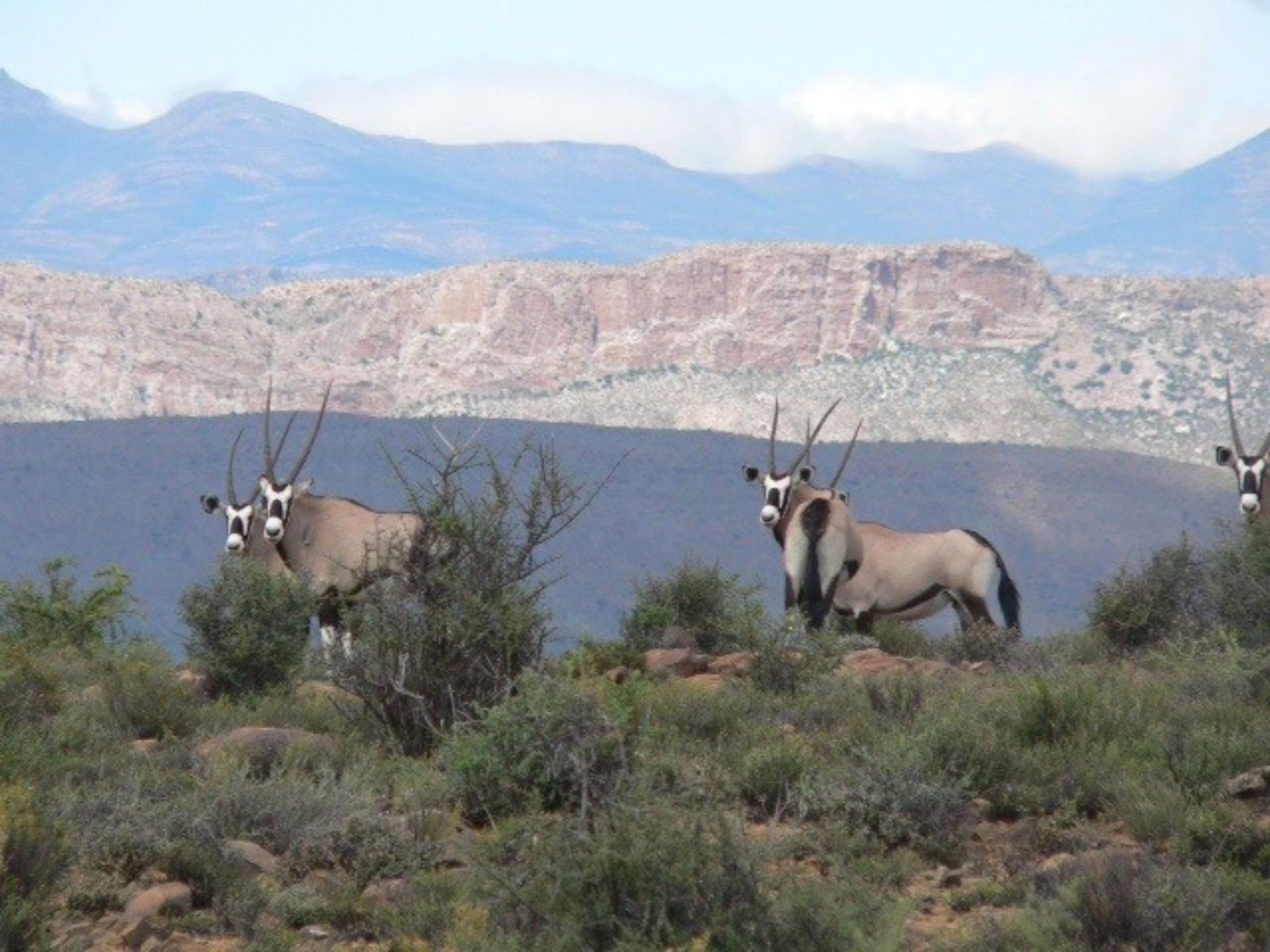 Game farm for sale in Prince Albert Rural - 1KK1716681