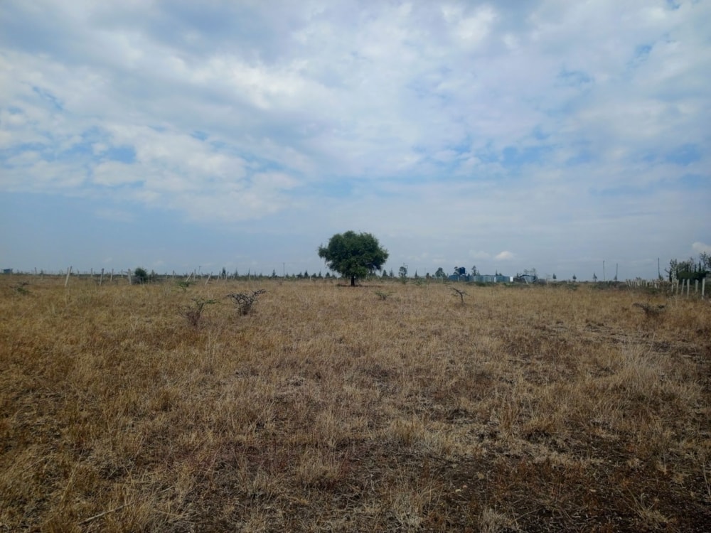 Vacant land for sale in Kitengela, Kenya - 3KE1718288 Vacant land for sale in Kitengela, Kenya - 3KE1718288