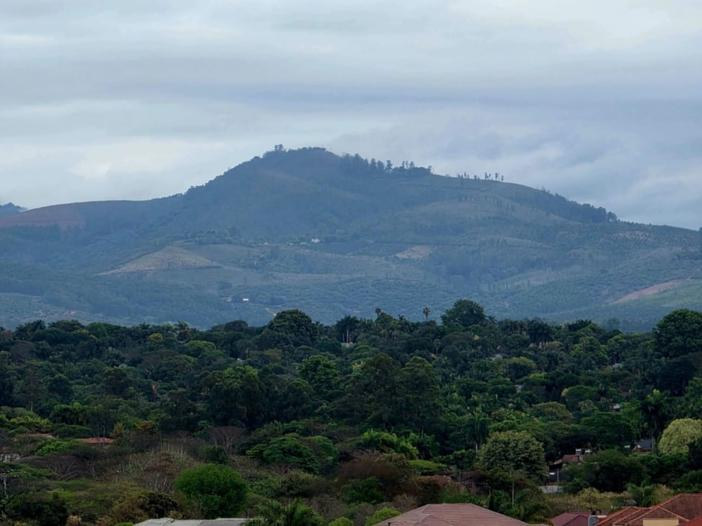 Vacant land for sale in Riverside Estate, Tzaneen - 1TA1716637