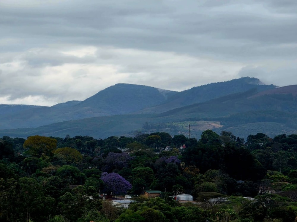 Vacant land for sale in Riverside Estate, Tzaneen - 1TA1716637