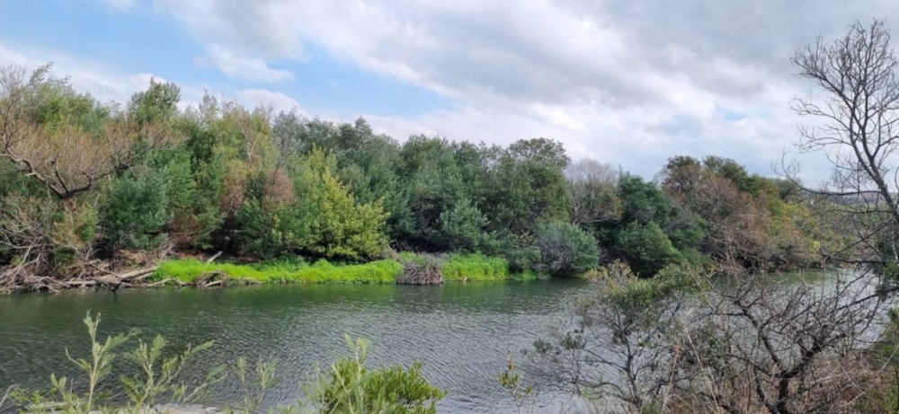 Mixed use farm for sale in Mooi River - 1PM1716298 Mixed use farm for sale in Mooi River - 1PM1716298