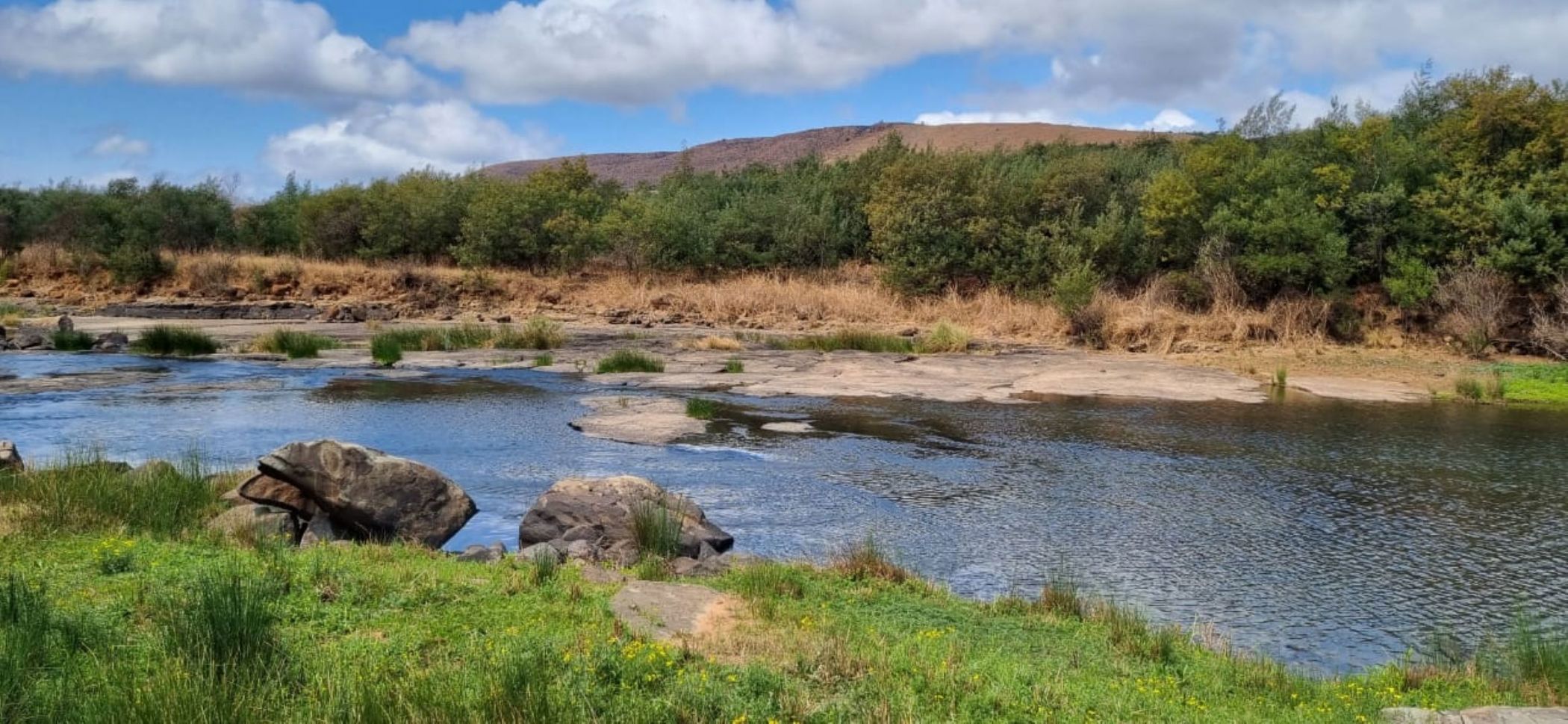 Mixed use farm for sale in Mooi River - 1PM1716298