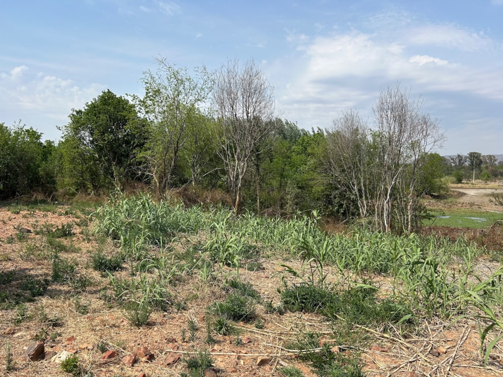 Residential vacant land for sale in Estate D Afrique - 1HR1715997