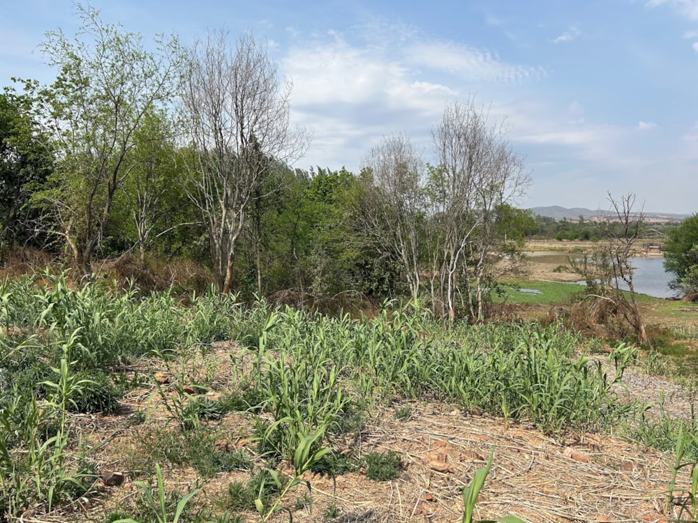 Residential vacant land for sale in Estate D Afrique - 1HR1715997