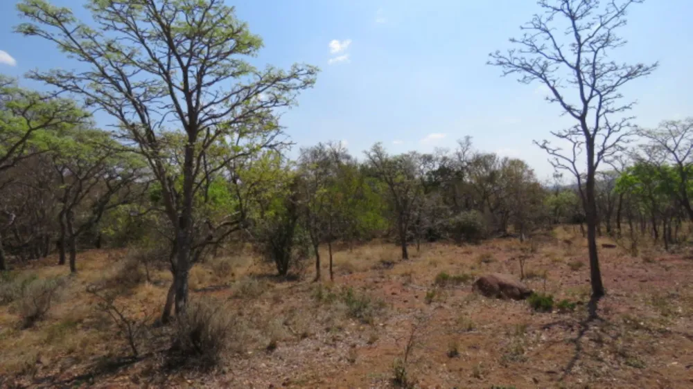 Vacant land for sale in Buffelspoort Eco Estate - 1MDM1716124