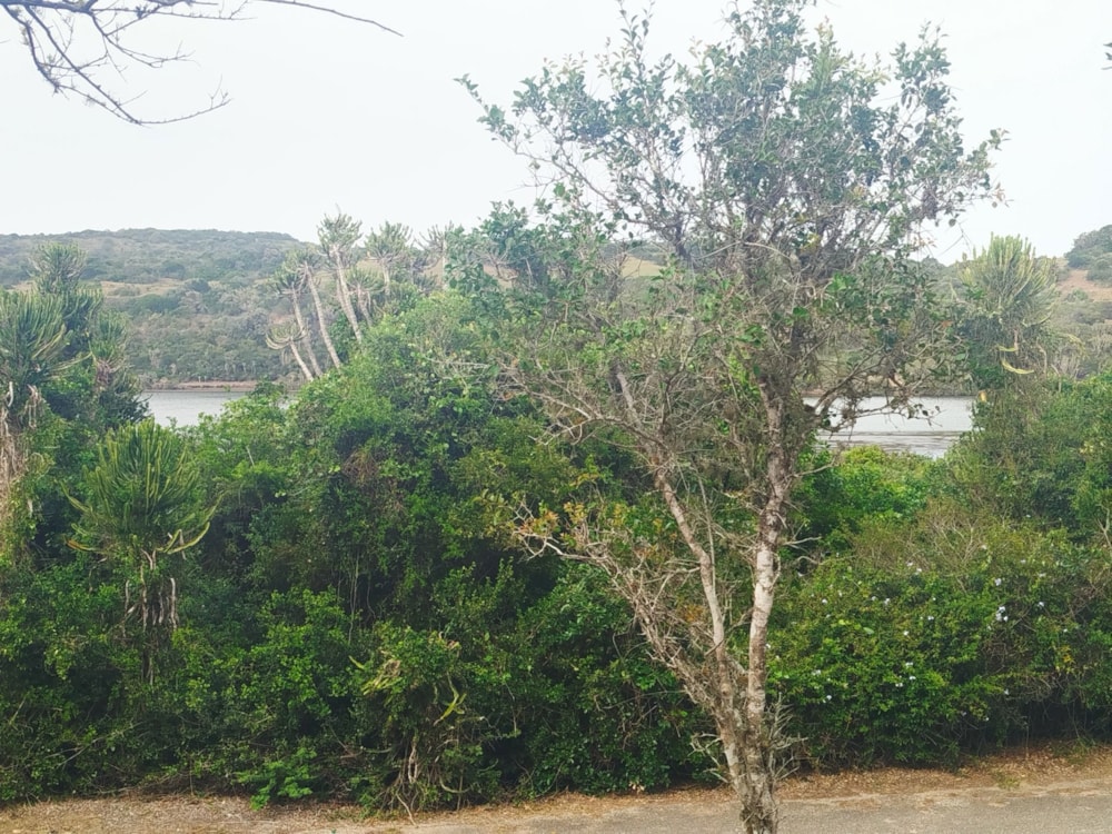 Residential vacant land for sale in Seafield, Kleinemonde - 1PF1716072