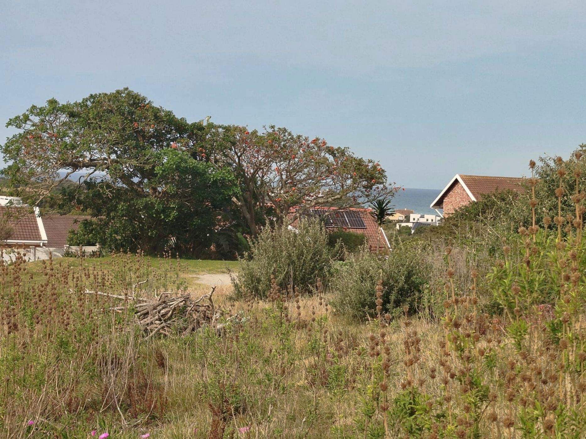 Residential vacant land for sale in Forest Downs - 1PF1713683