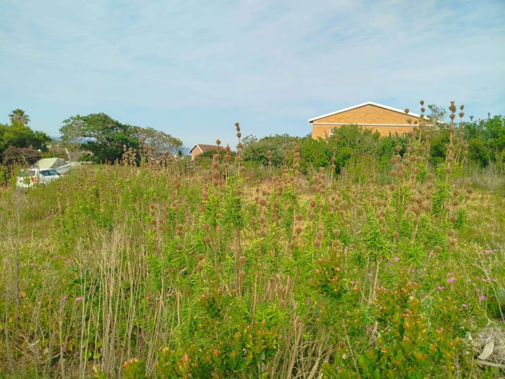 Residential vacant land for sale in Forest Downs - 1PF1713683 Residential vacant land for sale in Forest Downs - 1PF1713683