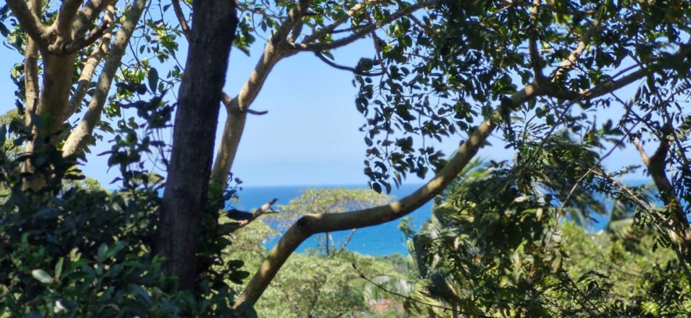 Townhouse for sale in Zimbali Estate - 1BD1719224 Townhouse for sale in Zimbali Estate - 1BD1719224