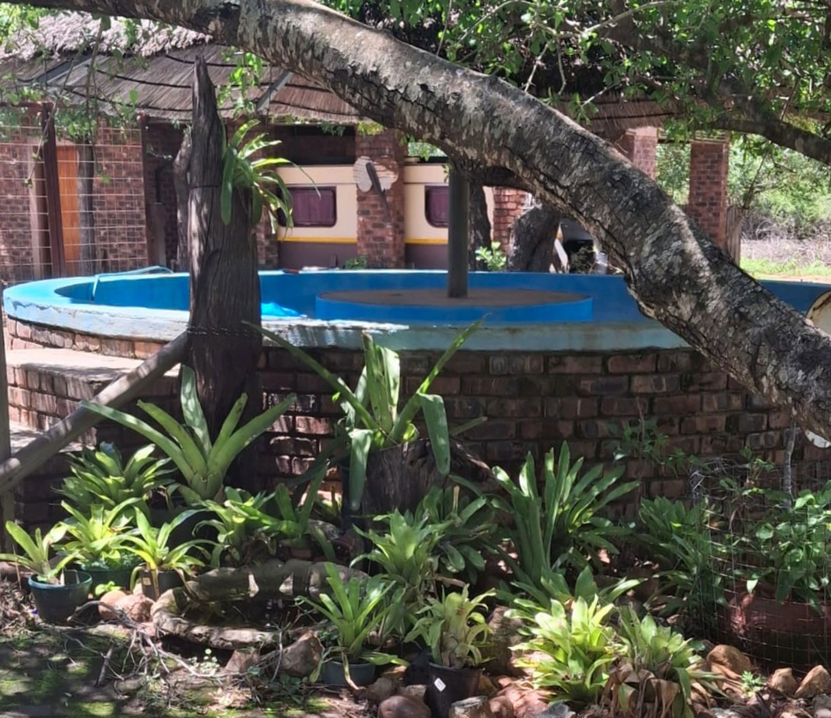 House to rent in Marloth Park - 1NK1717868