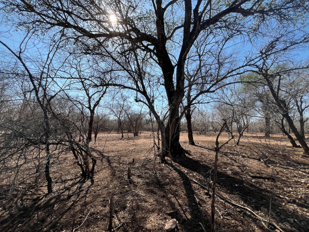 Vacant land for sale in Marloth Park - 1NK1717010