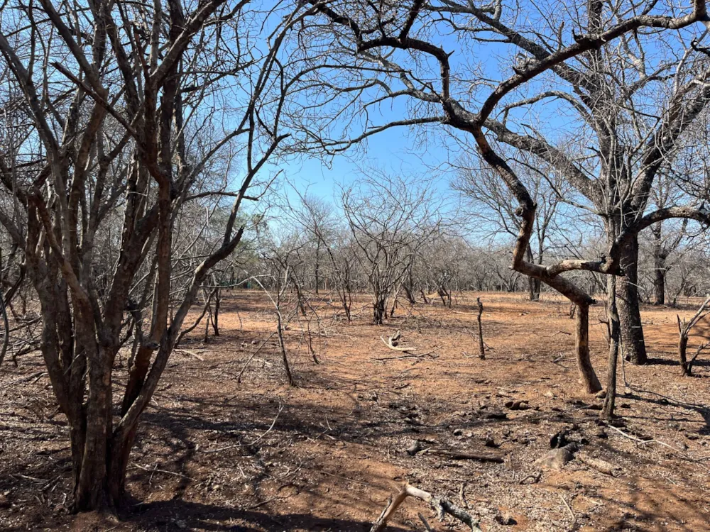 Vacant land sold in Marloth Park - 1NK1717010 Vacant land sold in Marloth Park - 1NK1717010