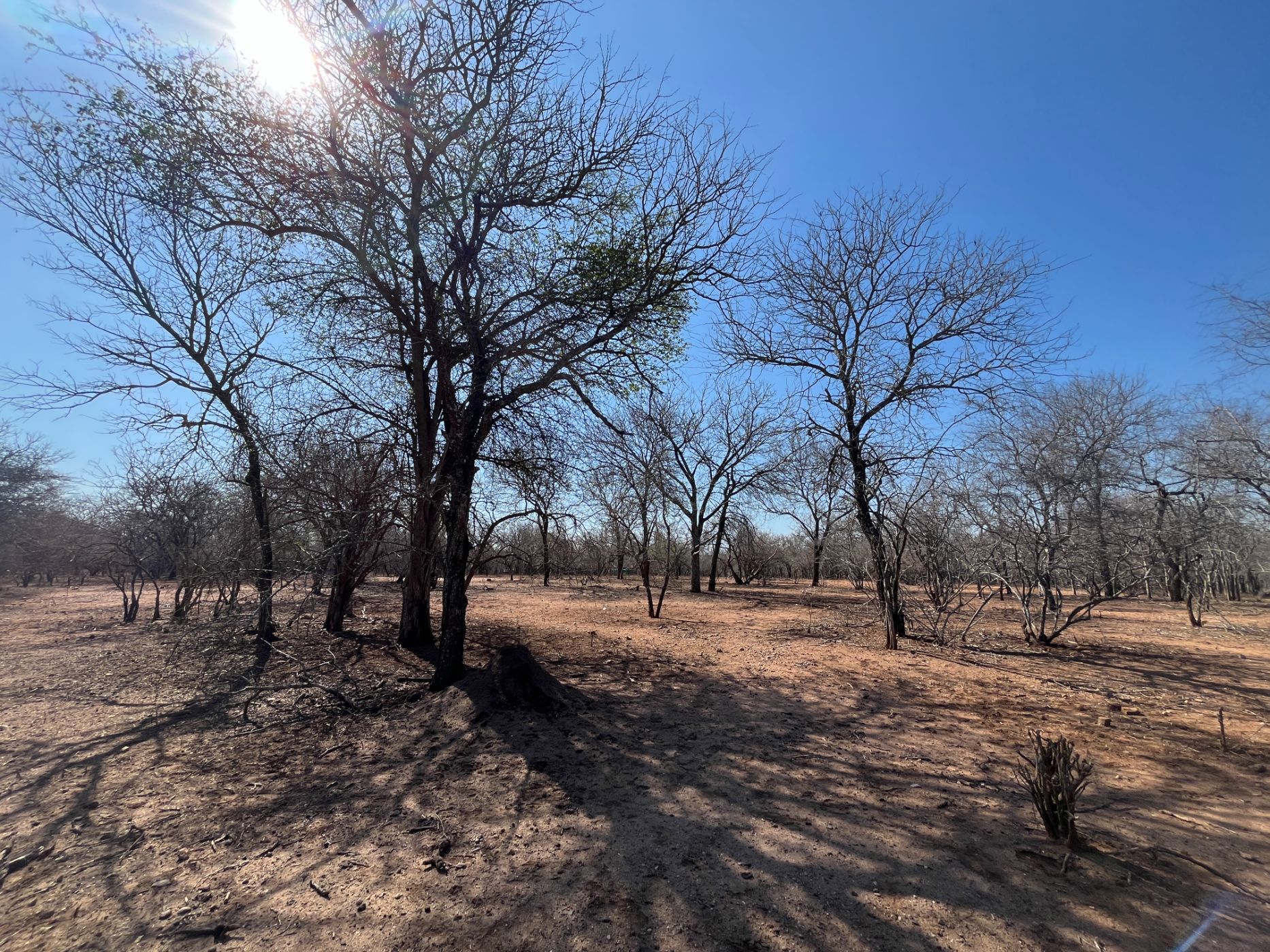 Vacant land for sale in Marloth Park - 1NK1717010