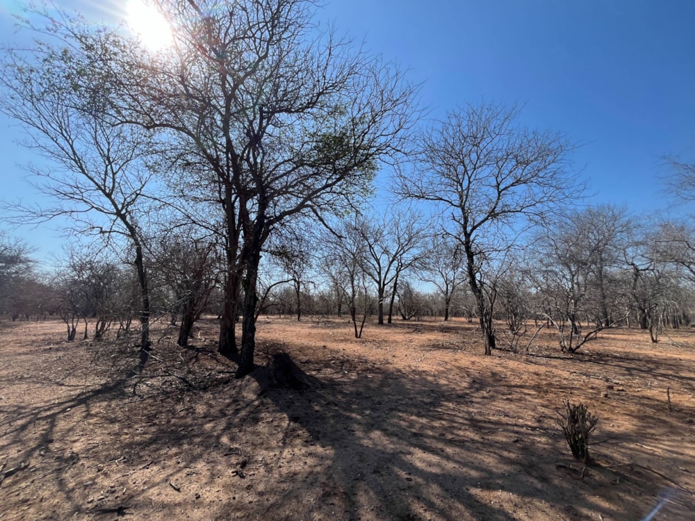Vacant land for sale in Marloth Park - 1NK1717010