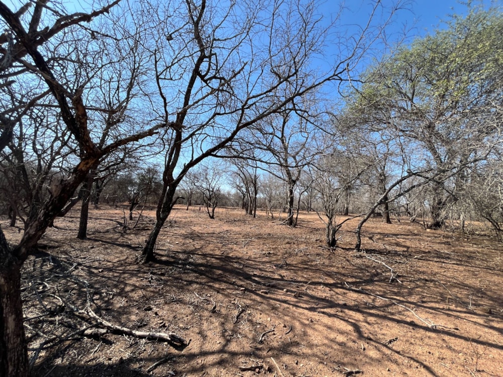 Vacant land for sale in Marloth Park - 1NK1717010