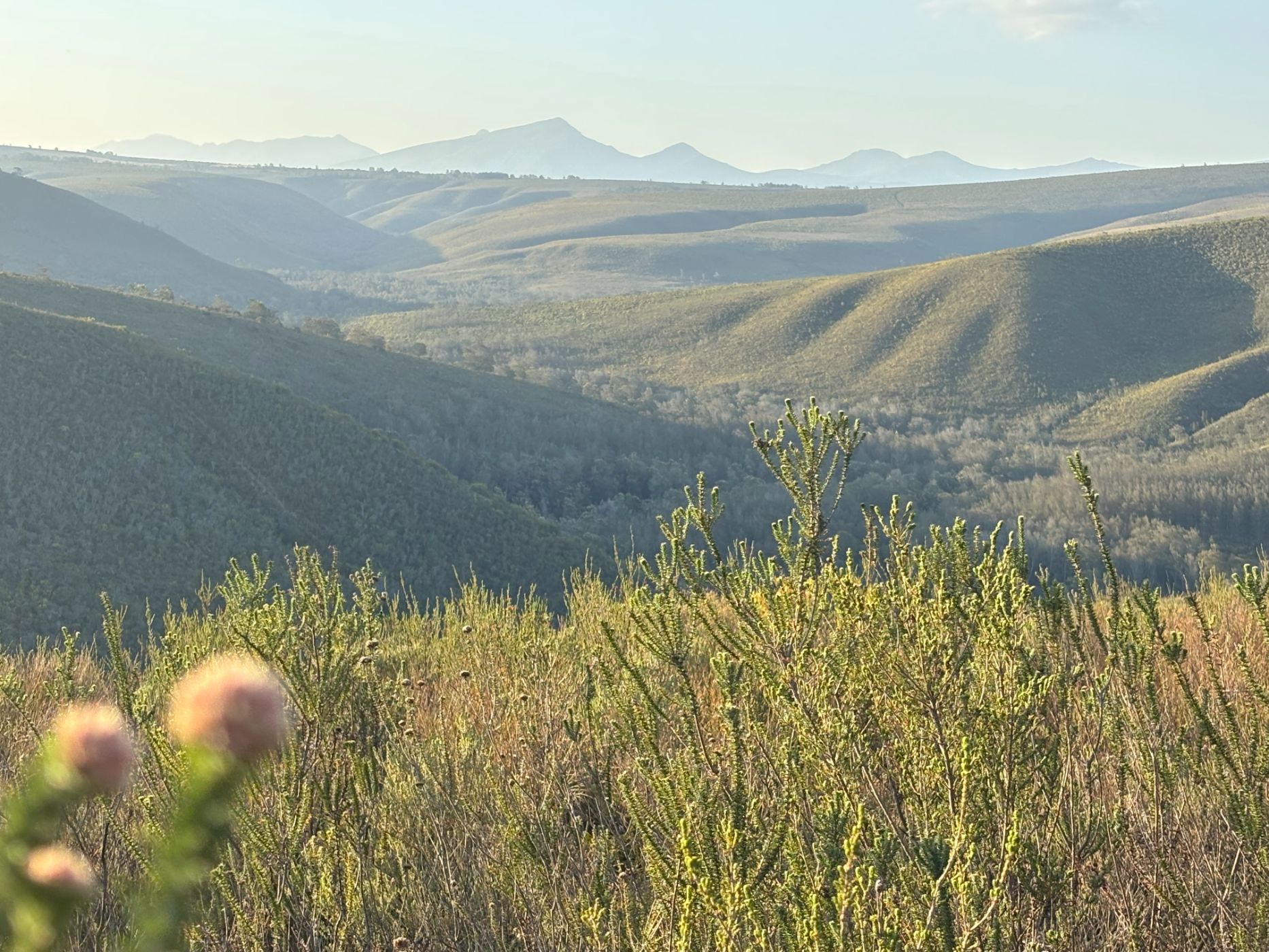 Residential vacant land for sale in Gondwana Game Reserve - 1MB1719782