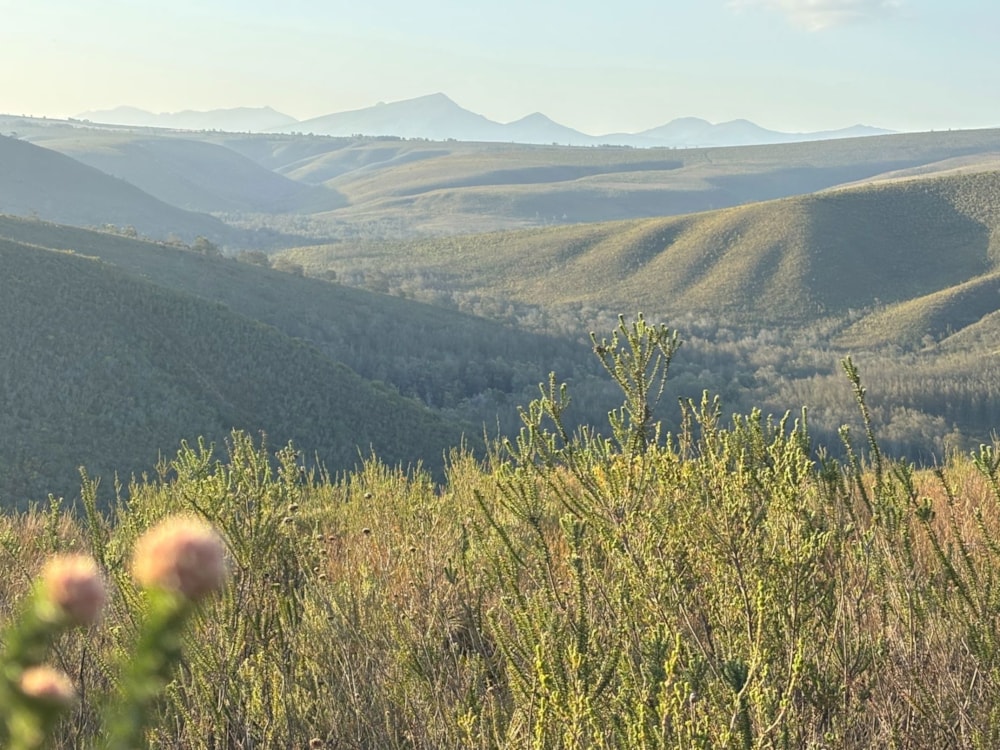 Residential vacant land for sale in Gondwana Game Reserve - 1MB1719782