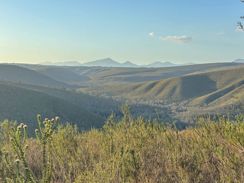 Residential vacant land for sale in Gondwana Game Reserve - 1MB1719782 Residential vacant land for sale in Gondwana Game Reserve - 1MB1719782