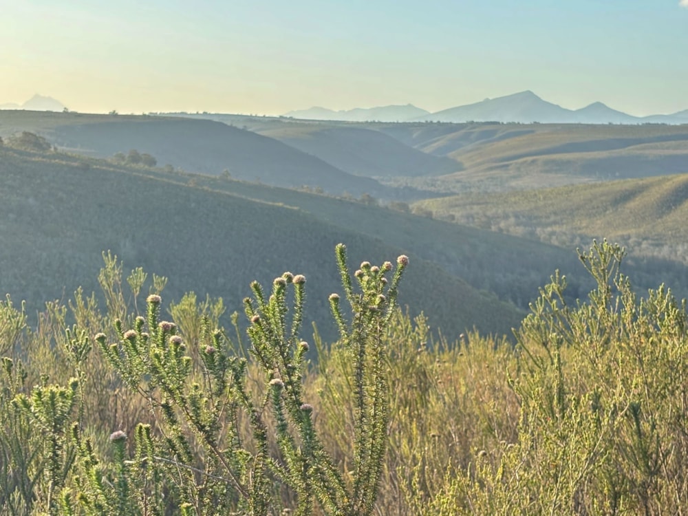 Residential vacant land for sale in Gondwana Game Reserve - 1MB1719782 Residential vacant land for sale in Gondwana Game Reserve - 1MB1719782