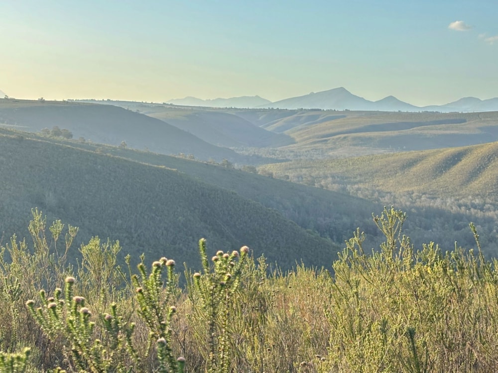 Residential vacant land for sale in Gondwana Game Reserve - 1MB1719782 Residential vacant land for sale in Gondwana Game Reserve - 1MB1719782