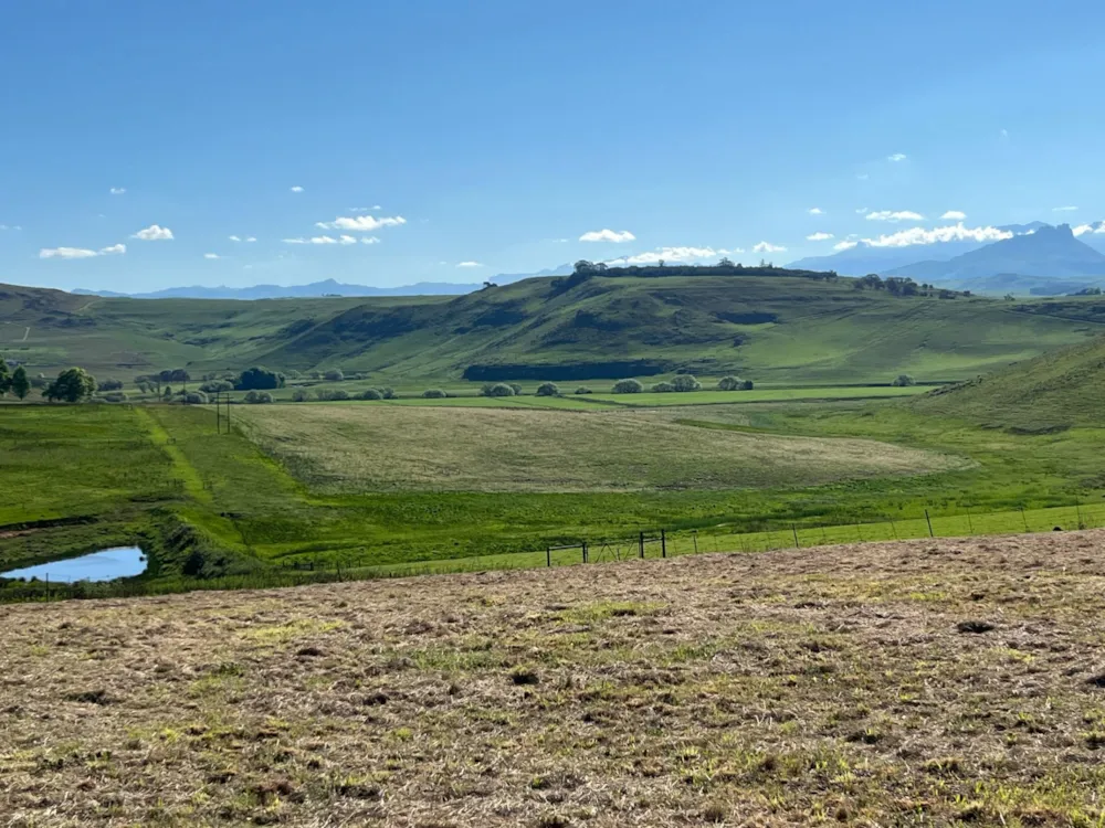 Vacant land sold in Underberg - 1UB1717150 Vacant land sold in Underberg - 1UB1717150