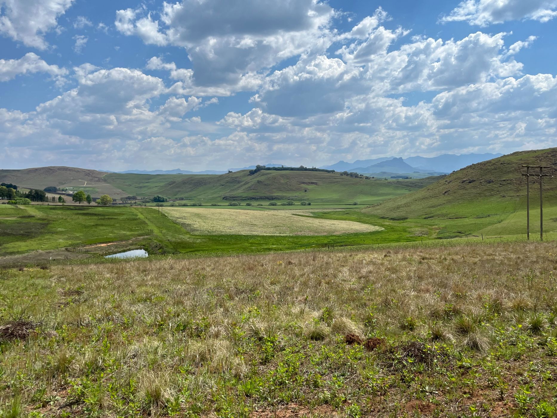 Vacant land for sale in Underberg - 1UB1717150
