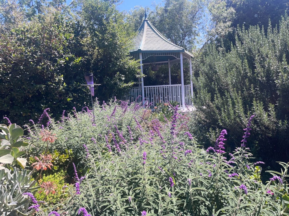 House for sale in Riebeek Kasteel - RV1717931 House for sale in Riebeek Kasteel - RV1717931