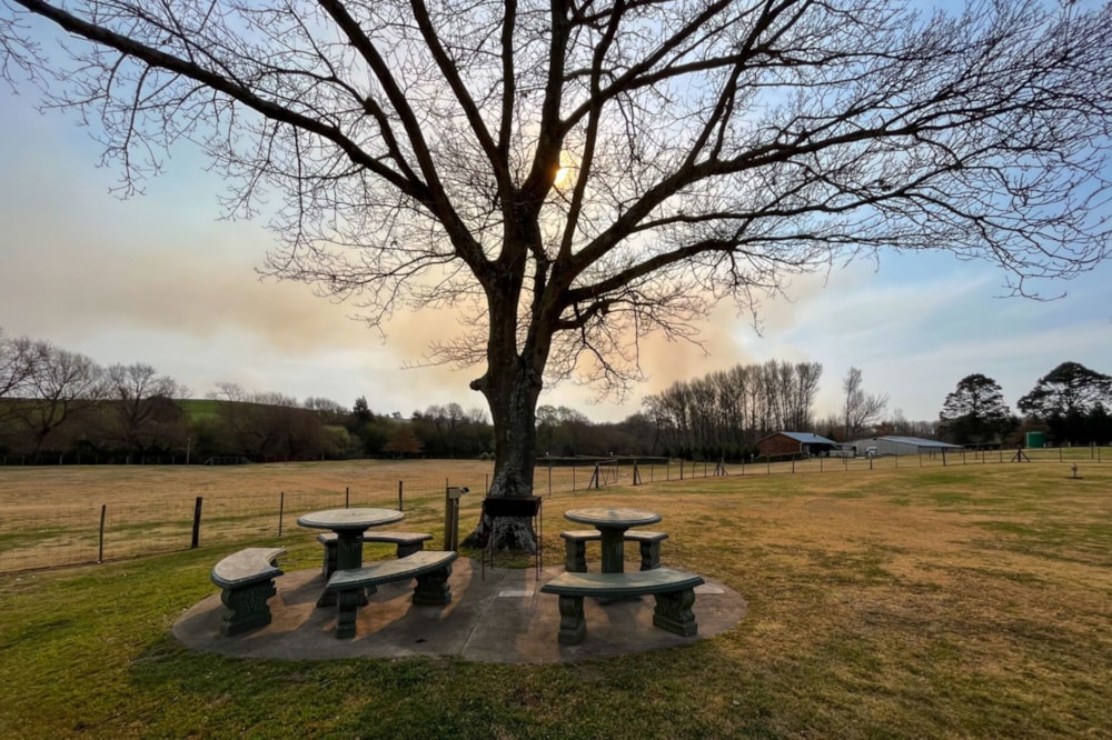 Smallholding for sale in Rosetta - 1PM1720087