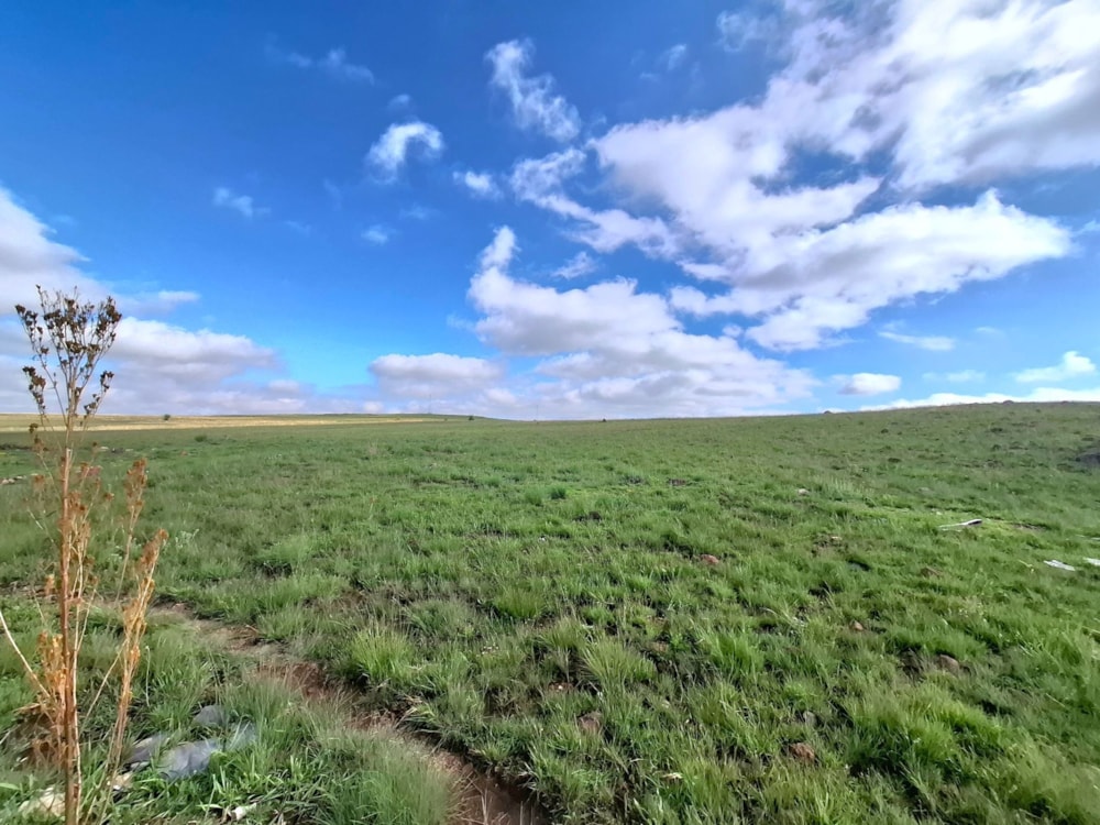 Vacant land for sale in Panorama, Bethlehem - 1BTH1718933 Vacant land for sale in Panorama, Bethlehem - 1BTH1718933