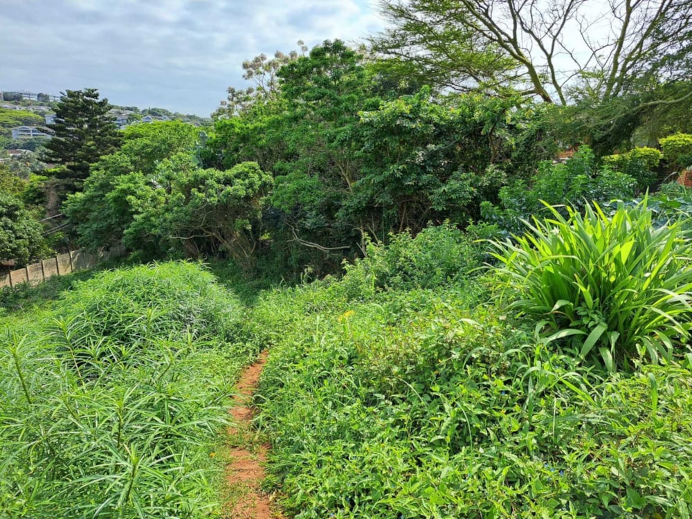 Vacant land for sale in Ballito - 1BD1717787 Vacant land for sale in Ballito - 1BD1717787