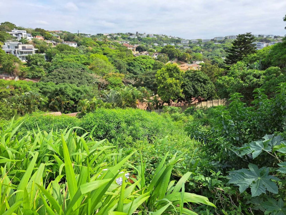 Vacant land for sale in Ballito - 1BD1717787 Vacant land for sale in Ballito - 1BD1717787