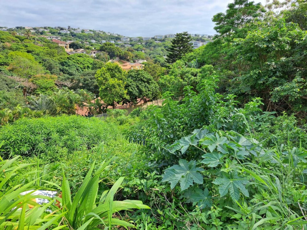 Vacant land for sale in Ballito - 1BD1717787 Vacant land for sale in Ballito - 1BD1717787